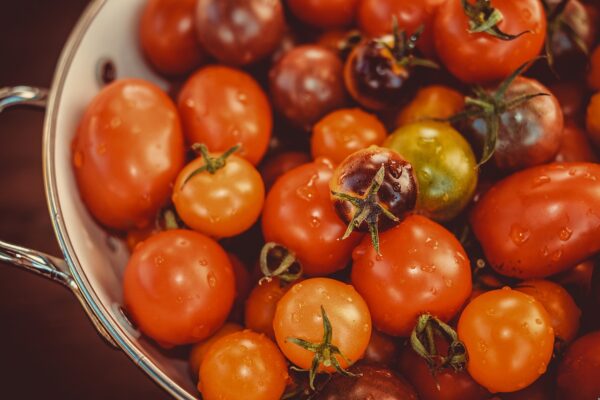 tomates